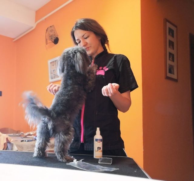 „Kell valami új és olyan, amit minden porcikám szeret” - interjú Zuggó Zsófia kutyaszitter és -kozmetikussal